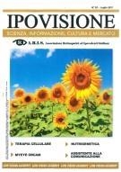 Cover  Strategie riabilitative ed ausili per l'ipovisone